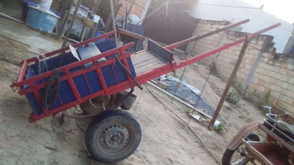 Batata Carretos